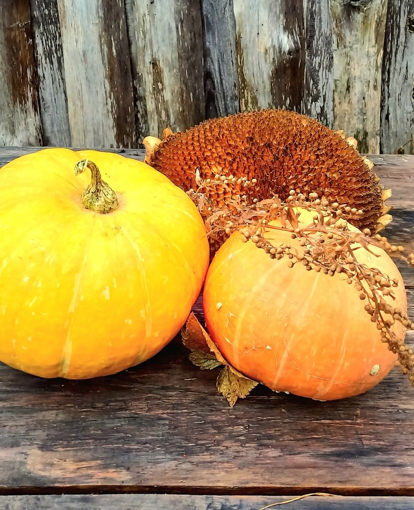 Photograph by Назмутдинова Сауия