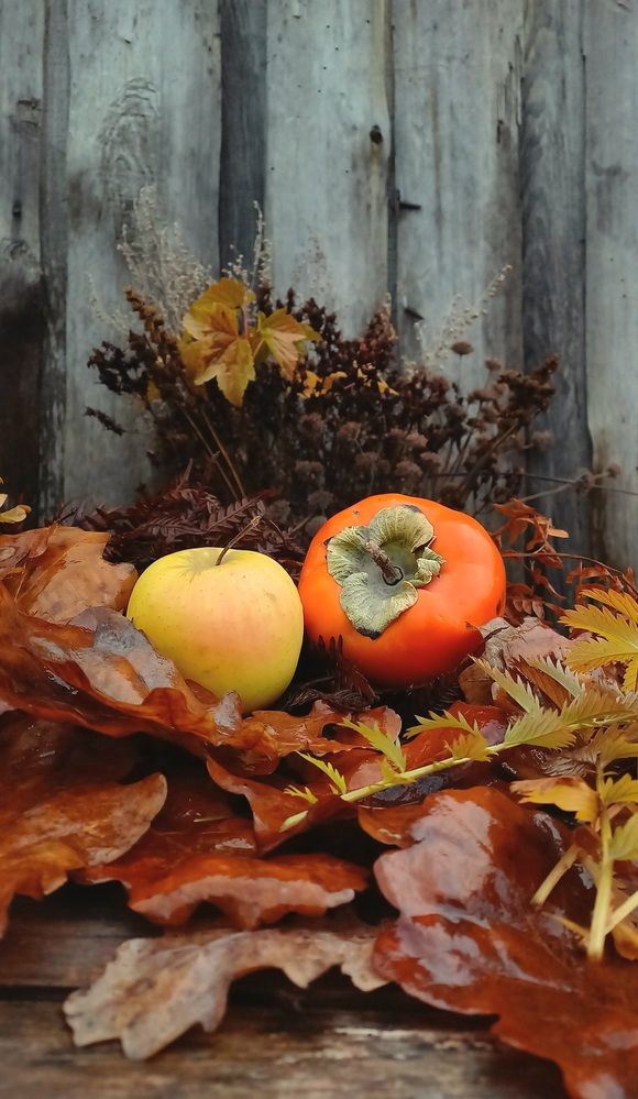 Photograph by Назмутдинова Сауия