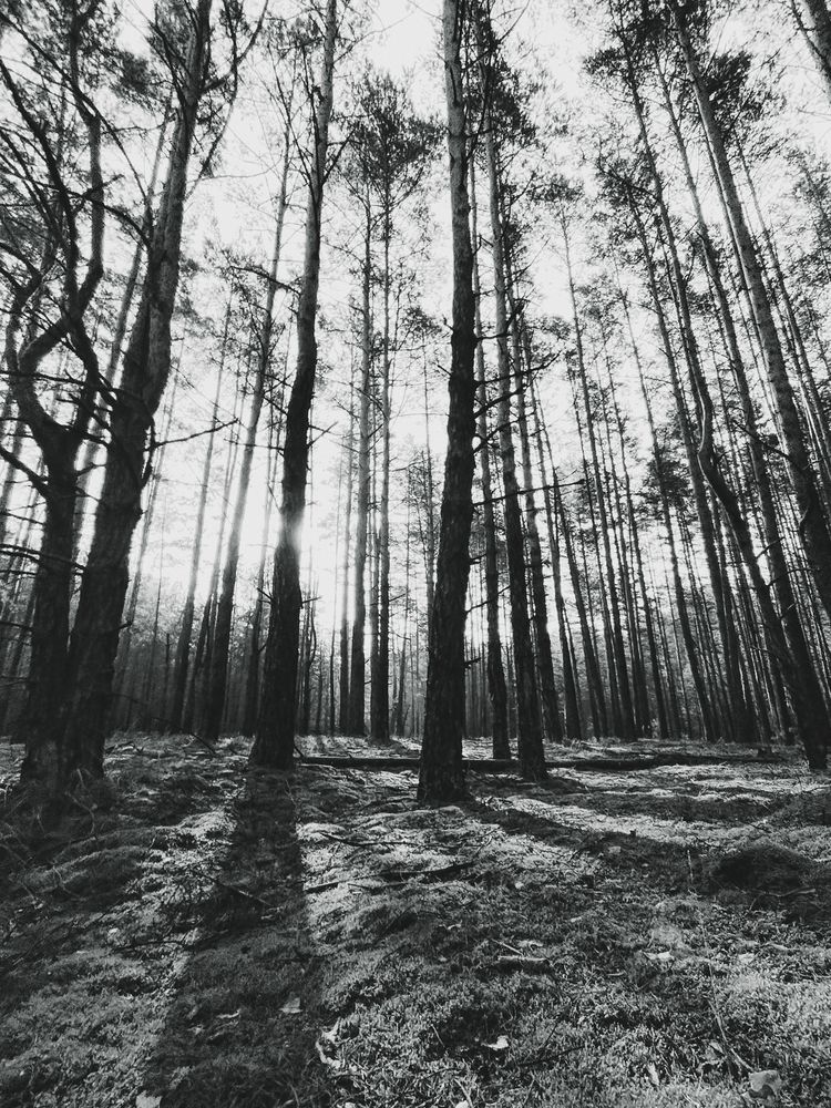 Photograph by Liudmila Pilets
