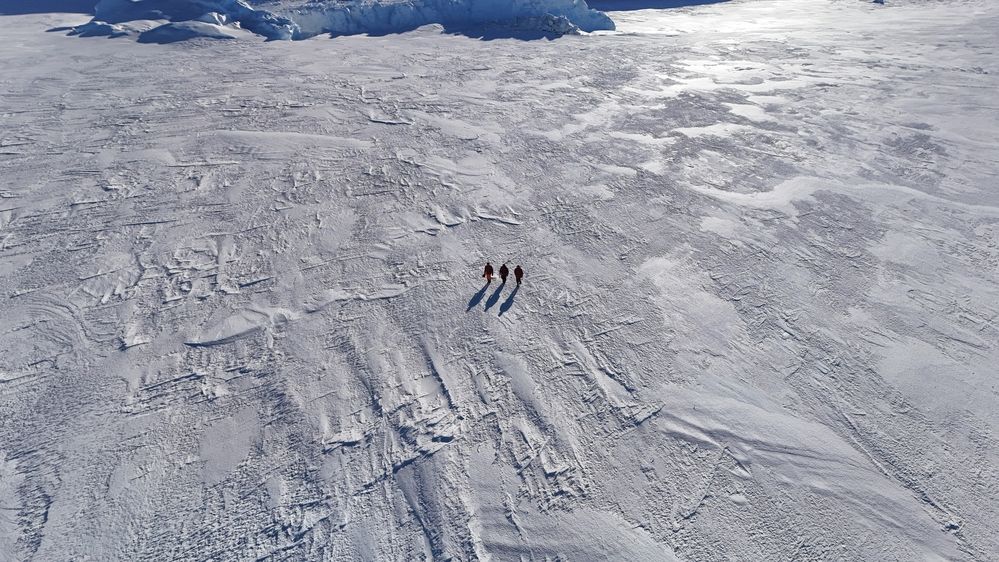 Photograph by Лев Синкин