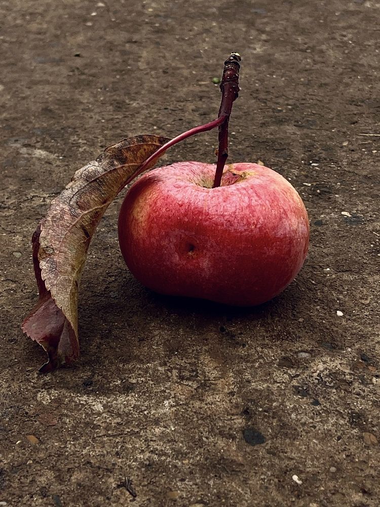 Photograph by Динара Dinara