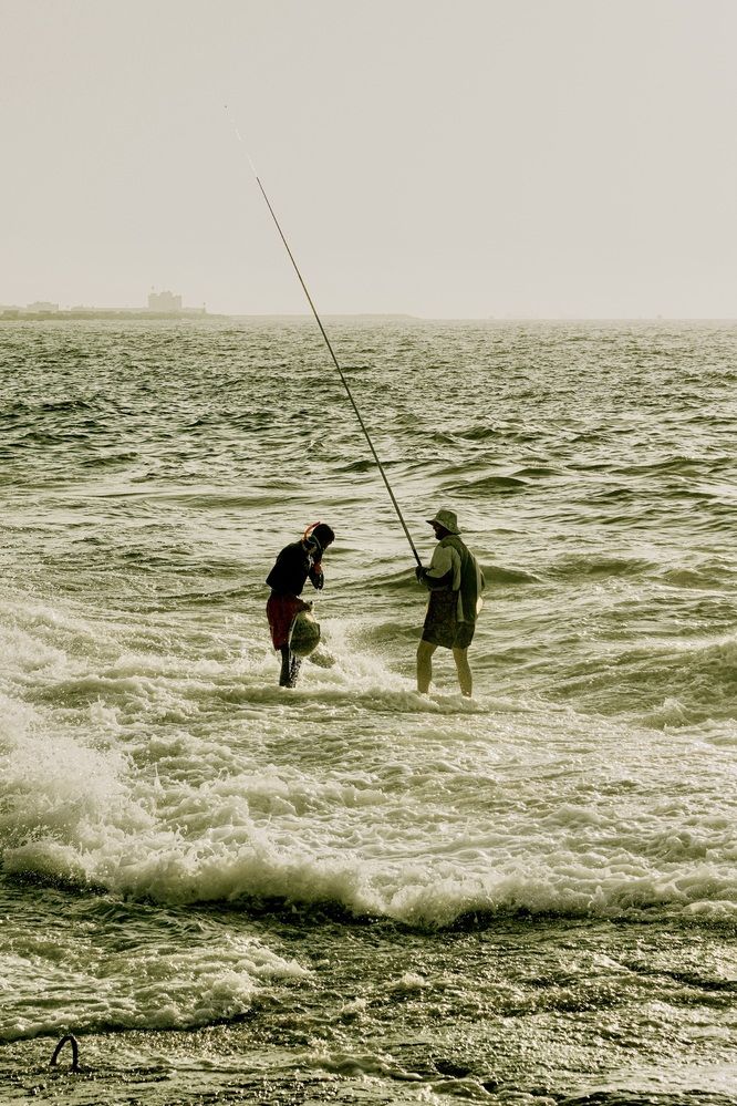 Фотография автора Sara Ali