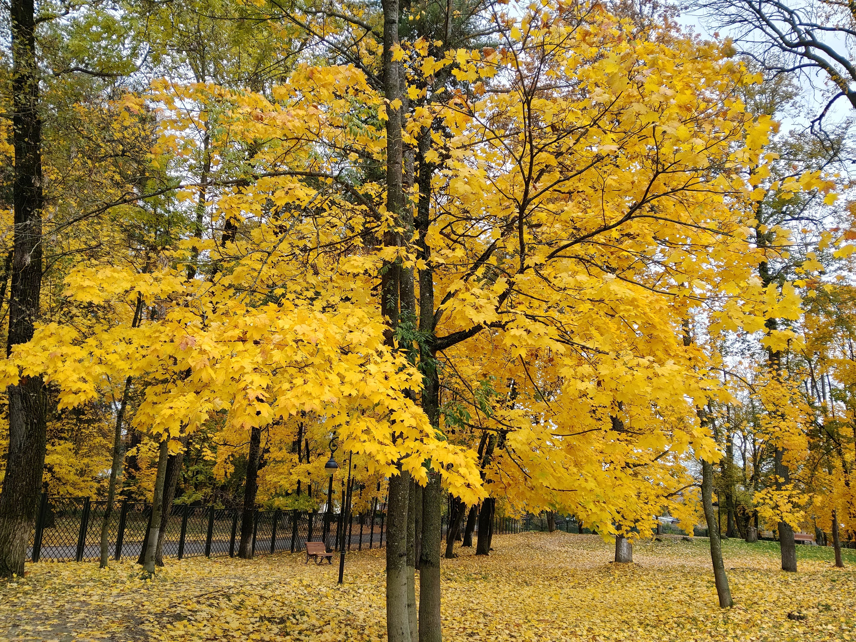 Photograph by Елена Сухорученкова
