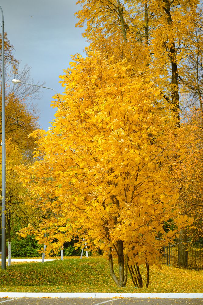 Photograph by Азат Ягудин