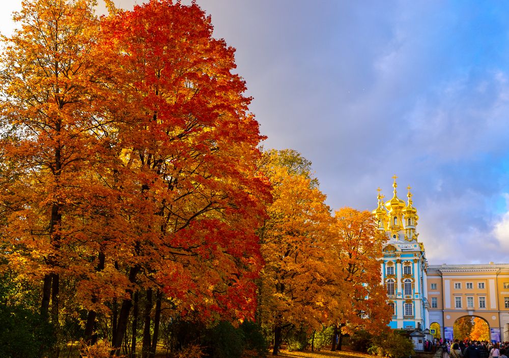 Photograph by Михаил Бояркин