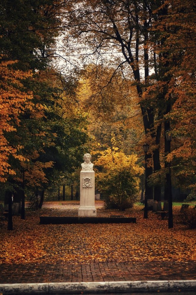 Фотография автора Роман Савин