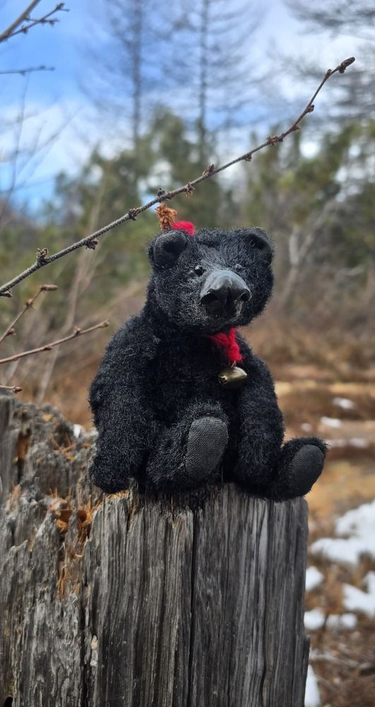 Photograph by Лариса Ким