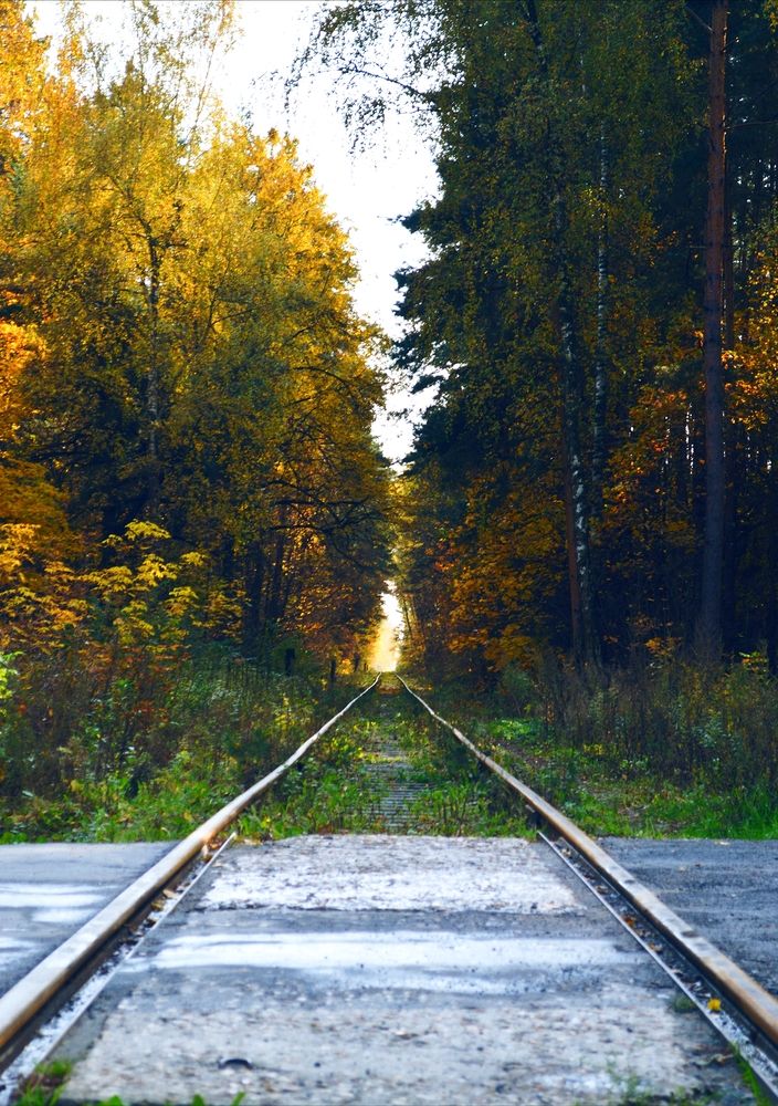 Photograph by Александр Лабутин