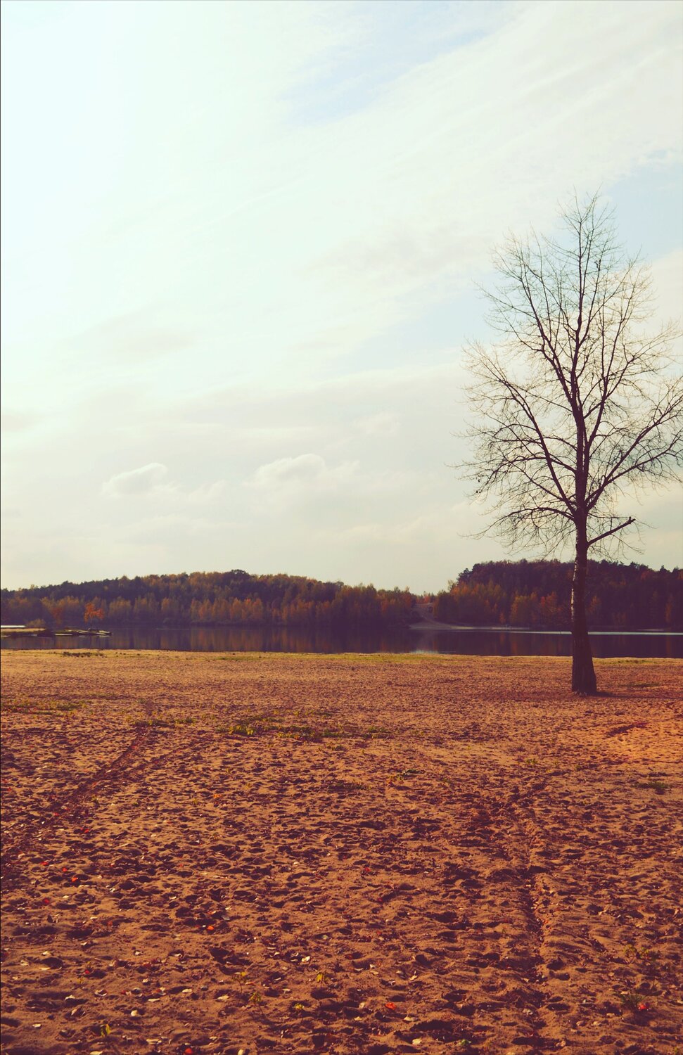 Photo #12696799