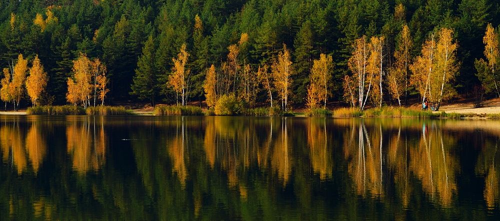 Photograph by Александр Лабутин