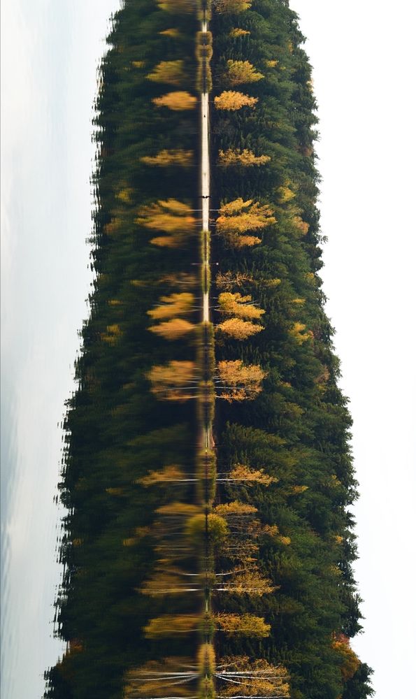 Photograph by Александр Лабутин