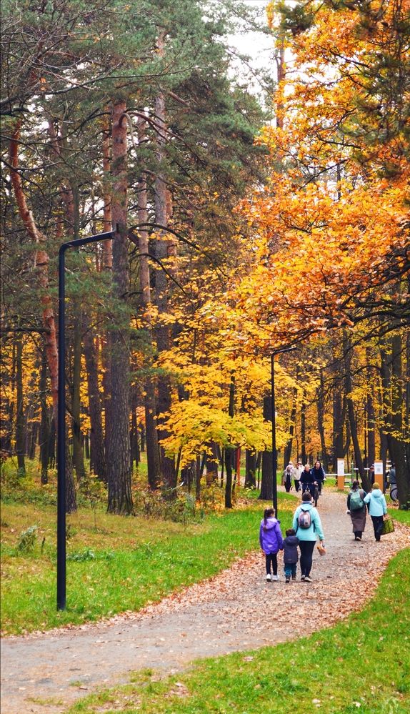 Photograph by Александр Лабутин