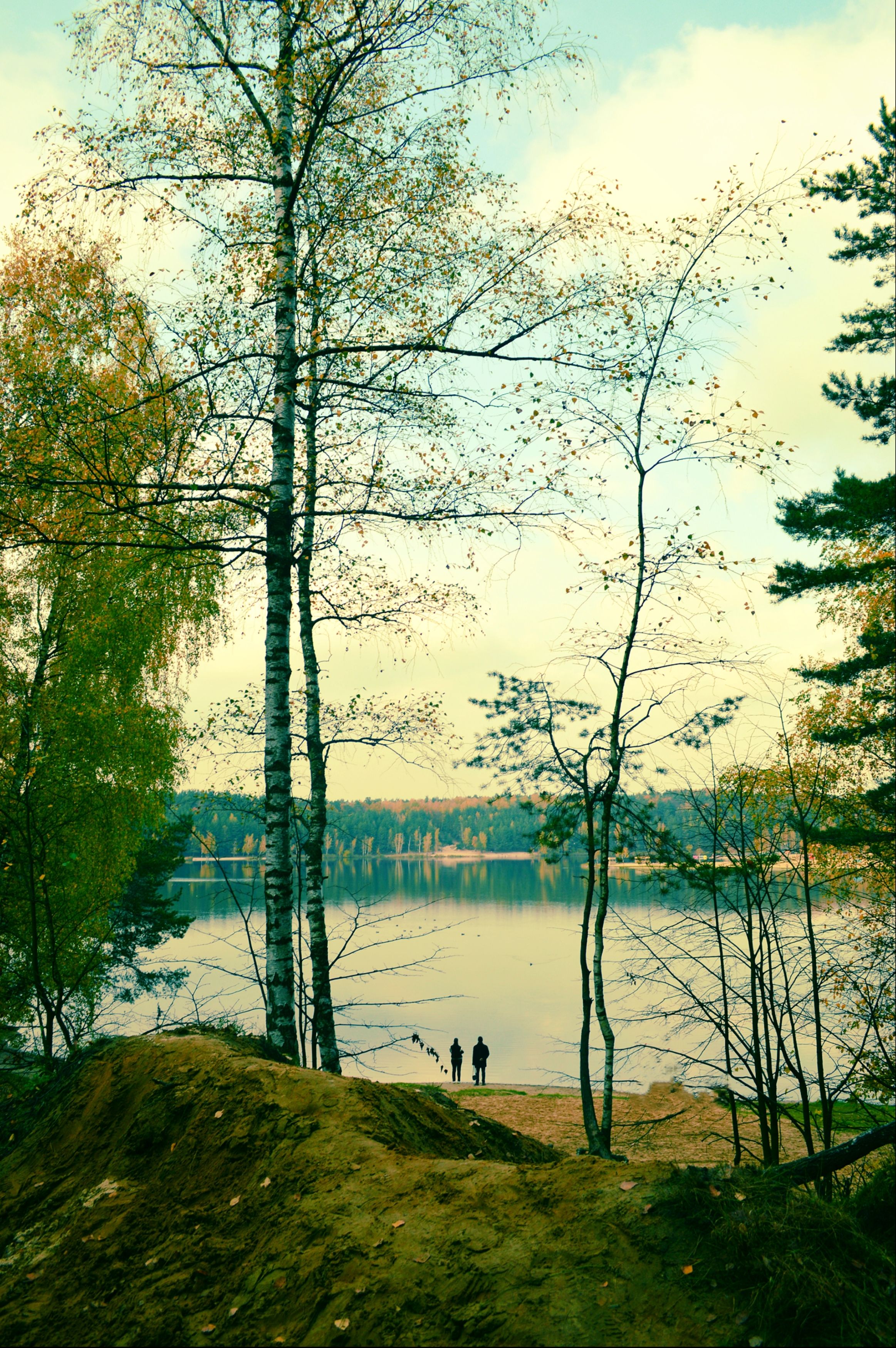 Photograph by Александр Лабутин
