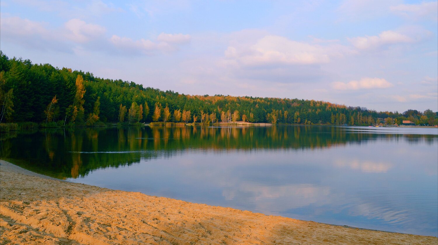 Photo #12696842