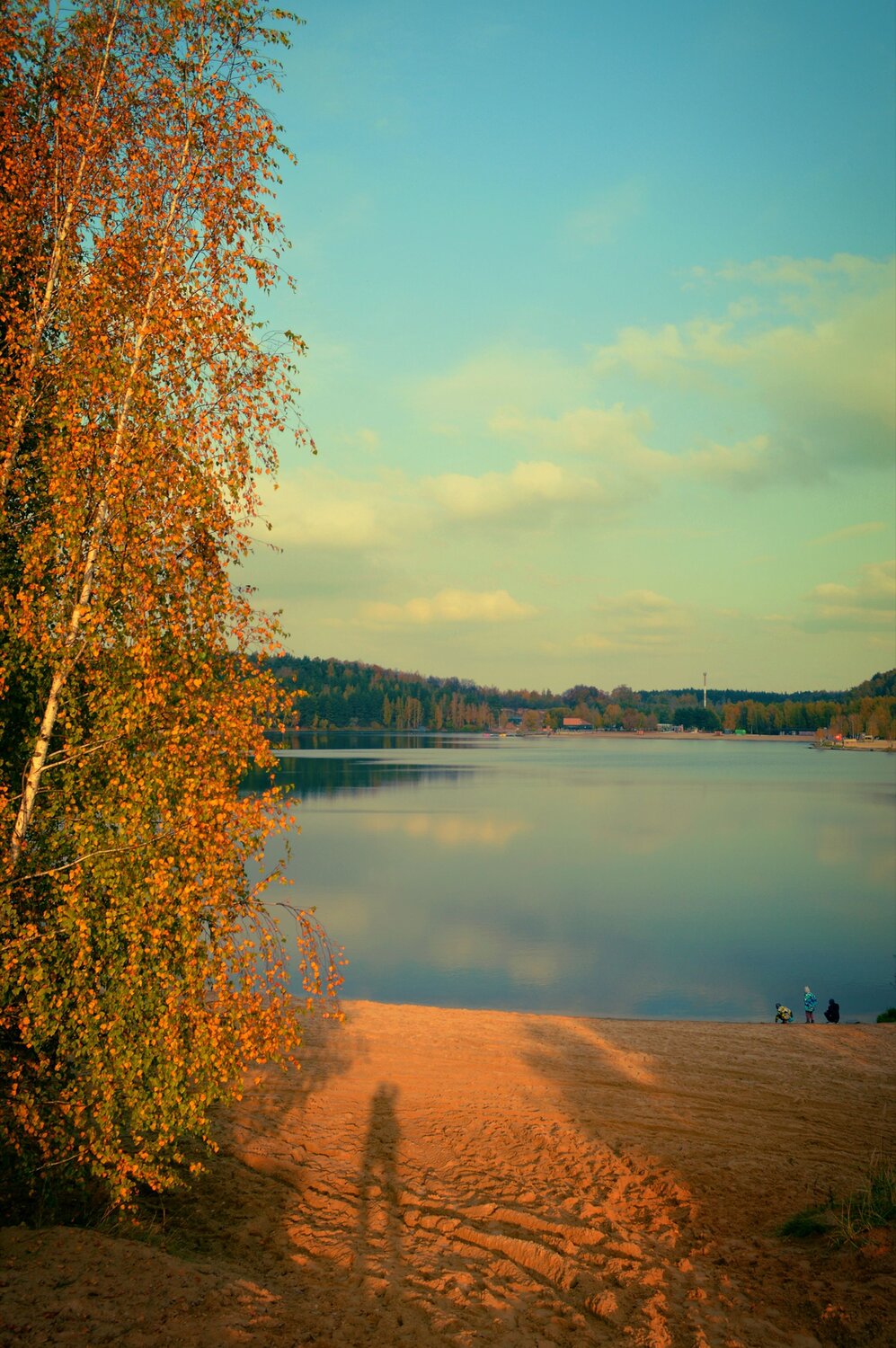 Photo #12696845