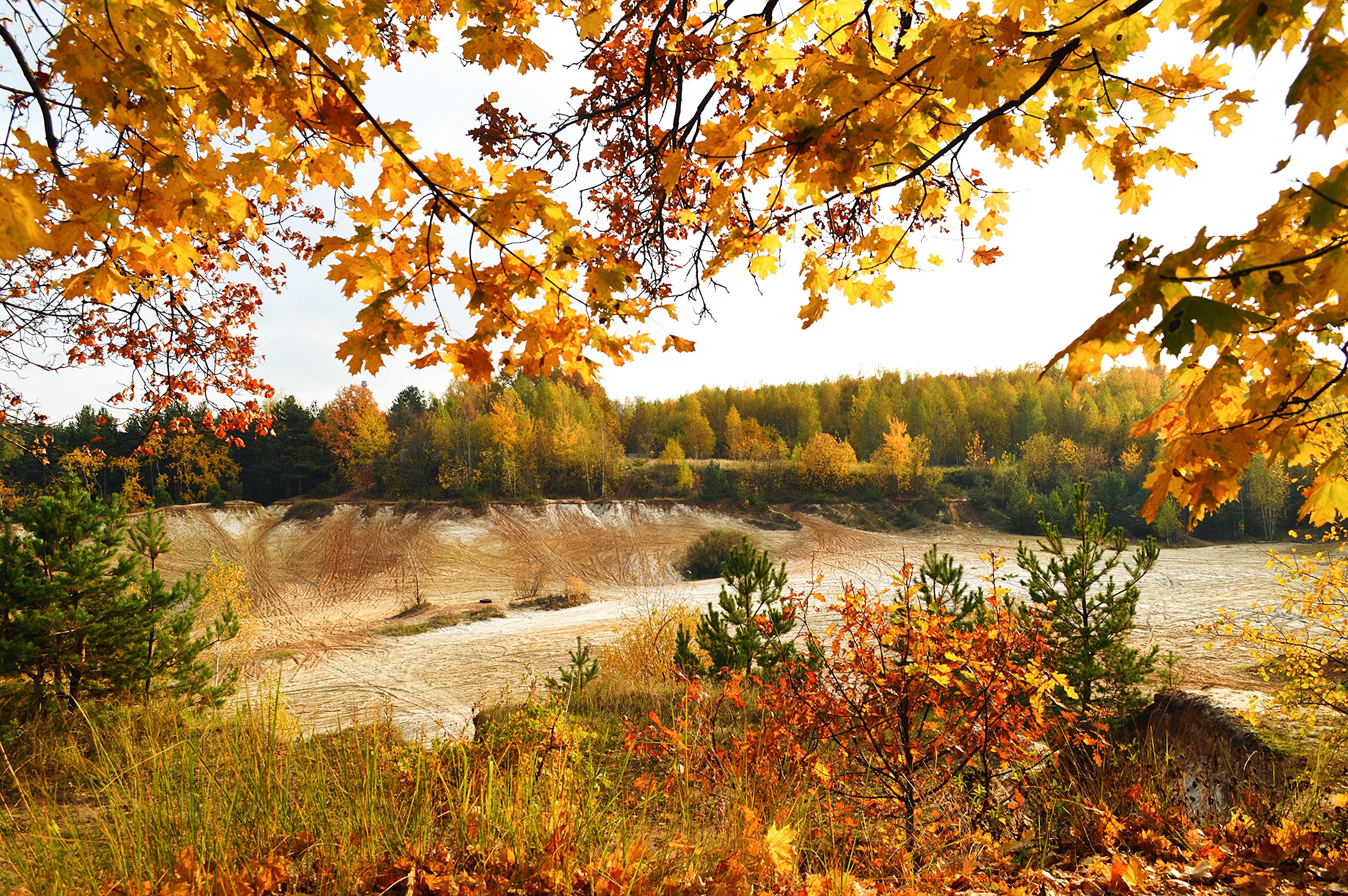Photograph by Александр Лабутин