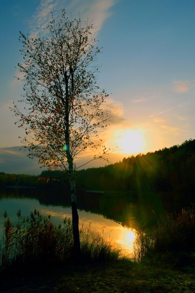 Photograph by Александр Лабутин