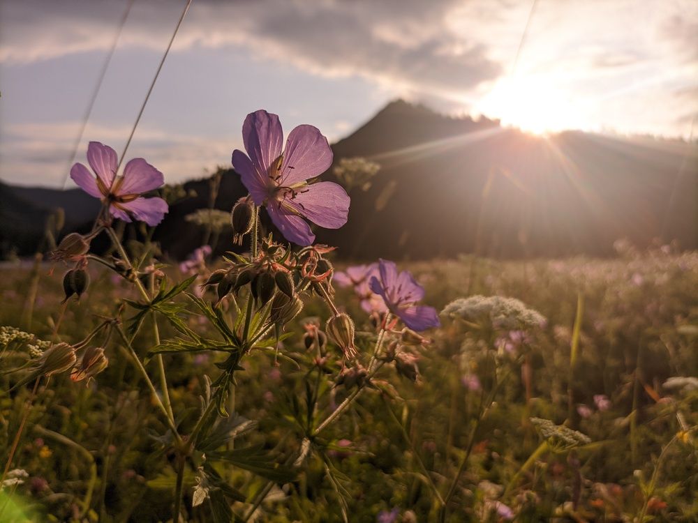 Photograph by Кирилл Лысенко