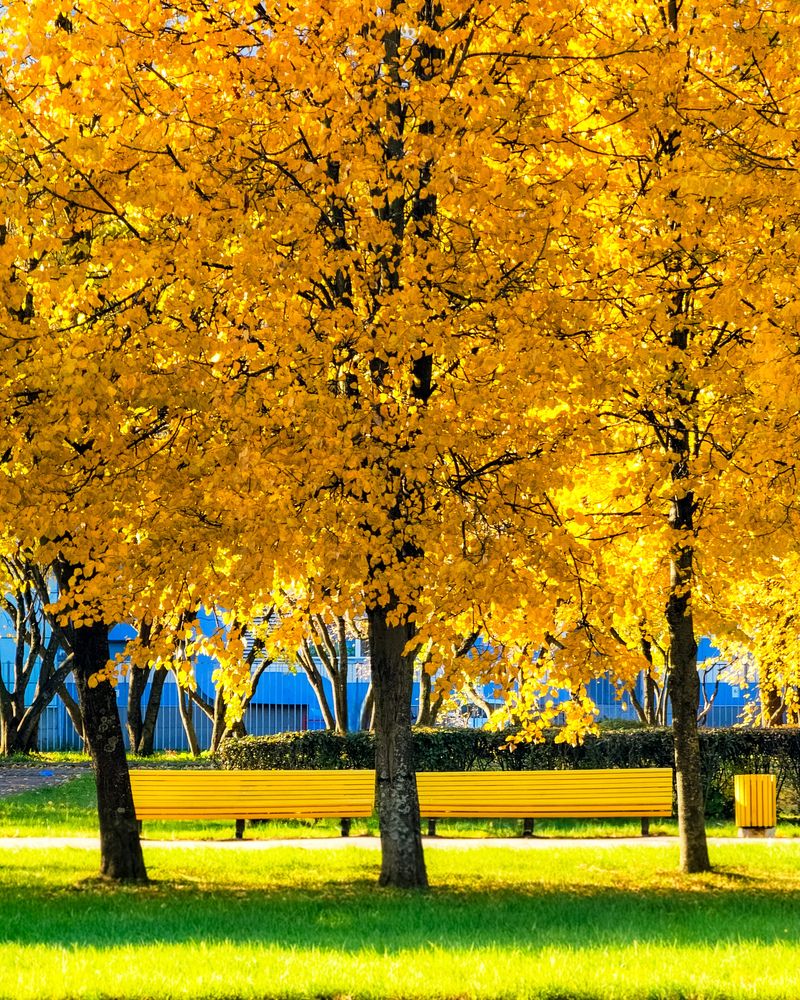 Photograph by Владислав Моисеев