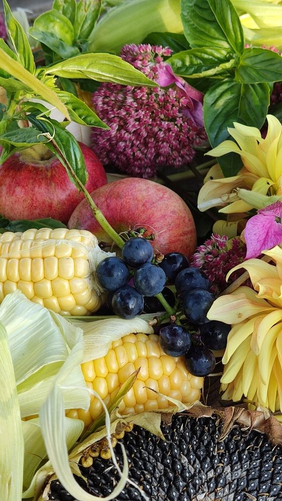 Photograph by Олена Бокова