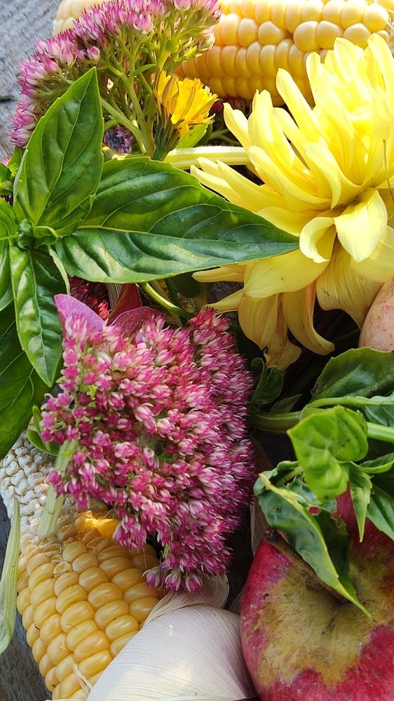 Photograph by Олена Бокова