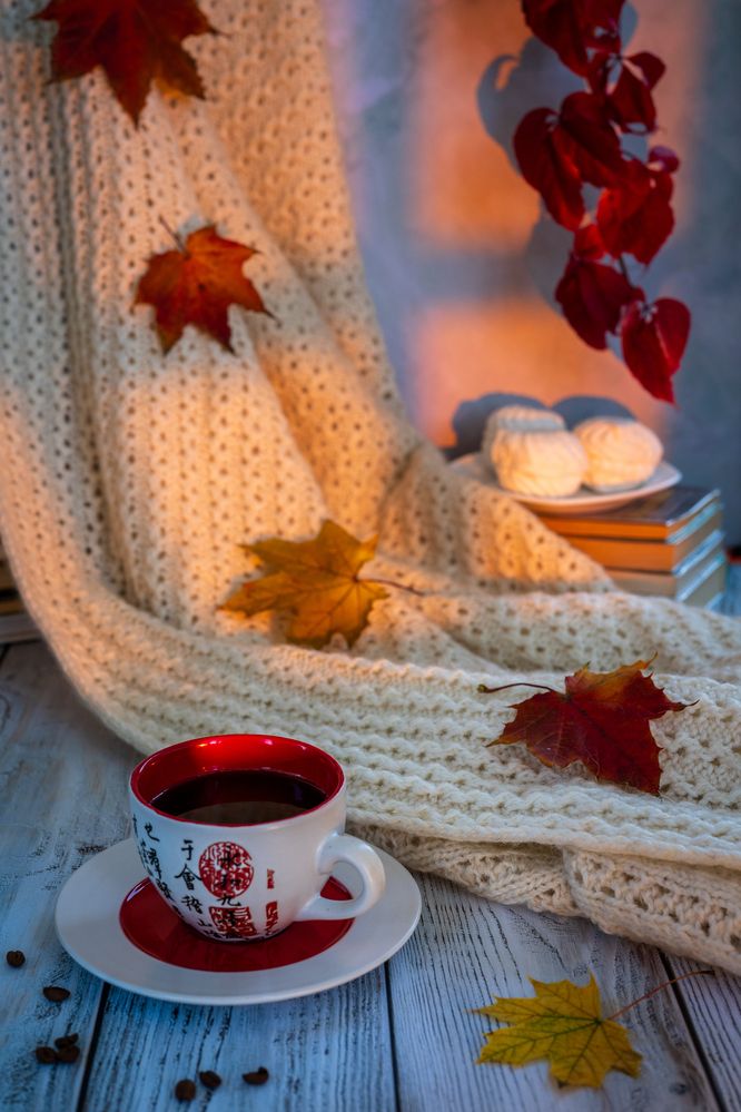 Фотография автора Dmitry BESPAMIATNYI