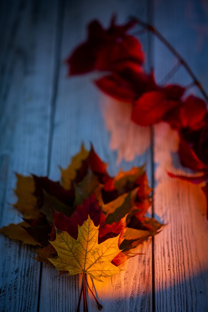 Фотография автора Dmitry BESPAMIATNYI