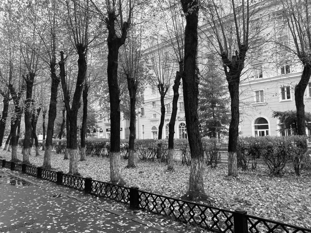 Photograph by Наталья Тарабычина