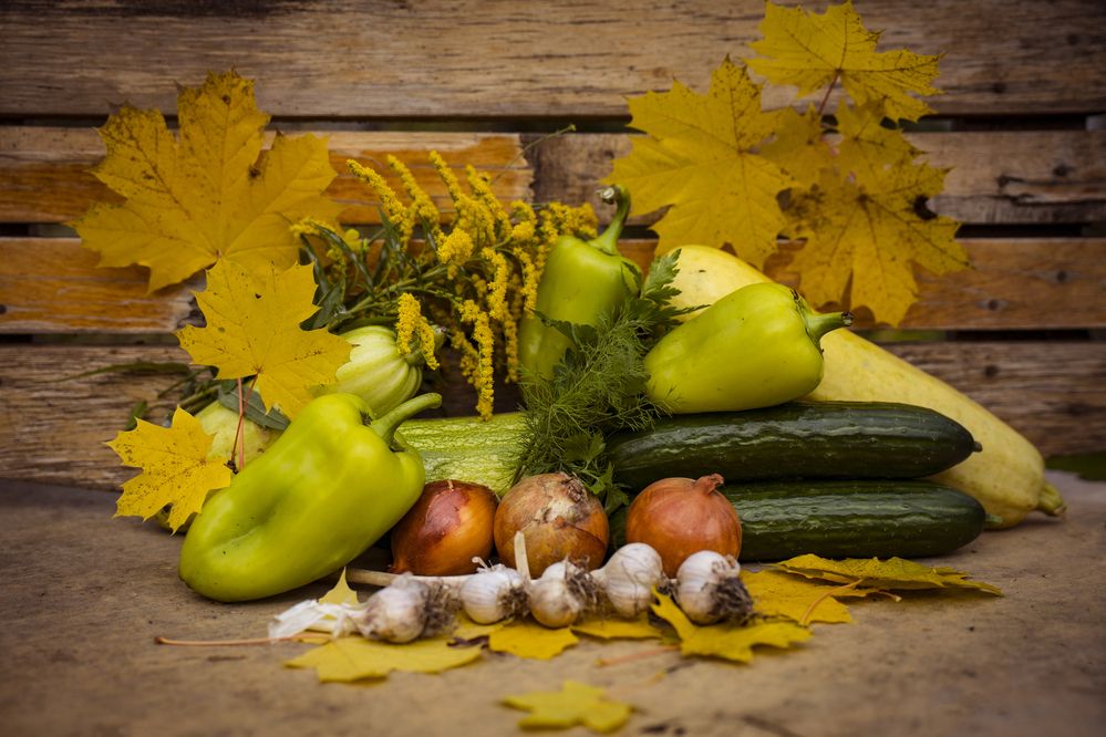 Photograph by Елена Фатьянова