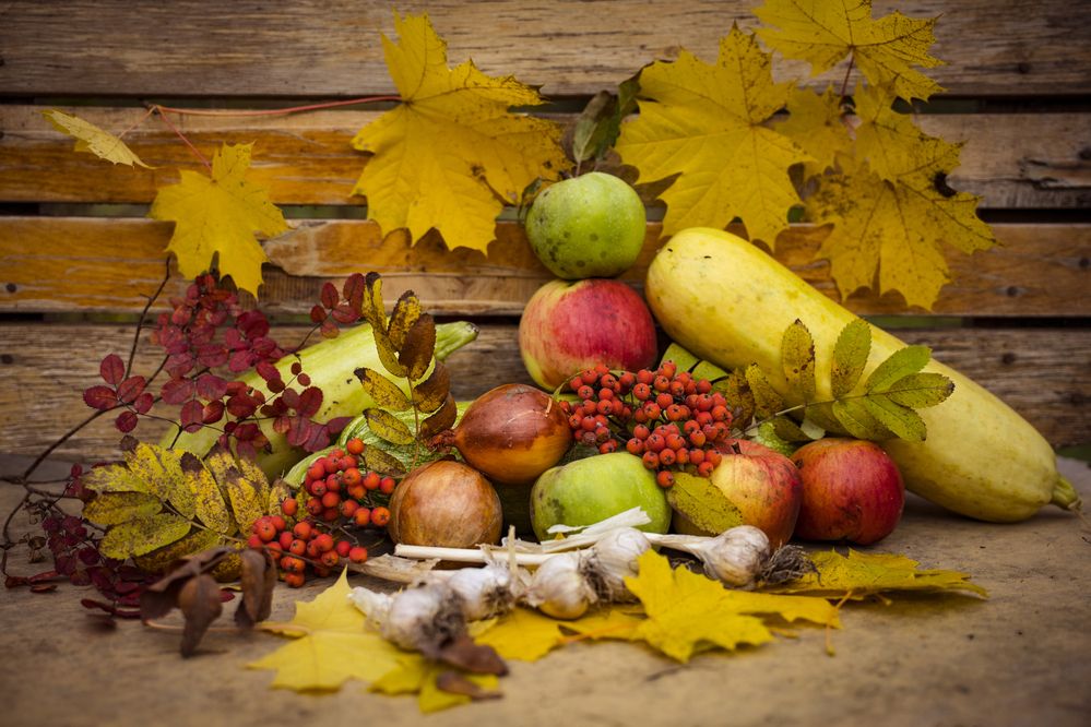 Photograph by Елена Фатьянова