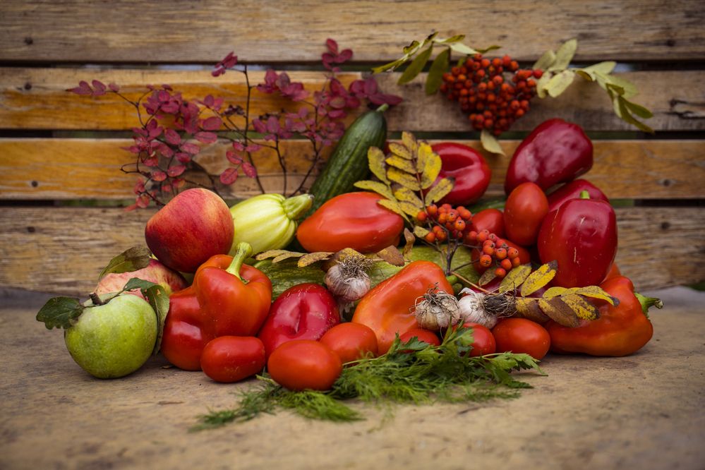 Photograph by Елена Фатьянова