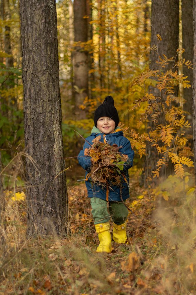 Photo #12697049