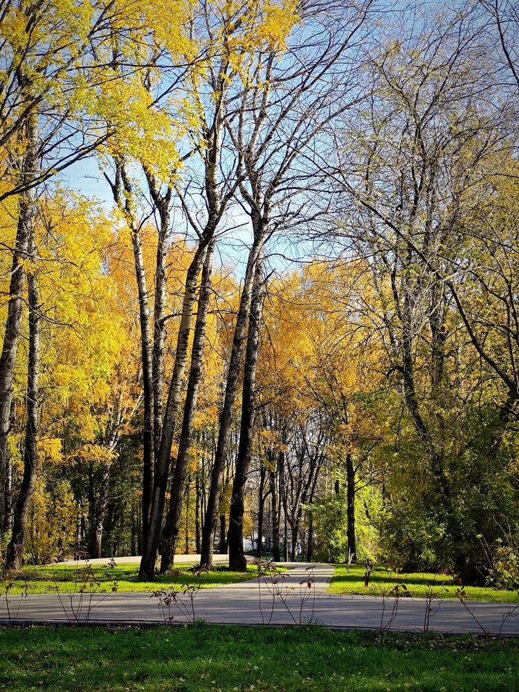 Photograph by Надежда Кангина