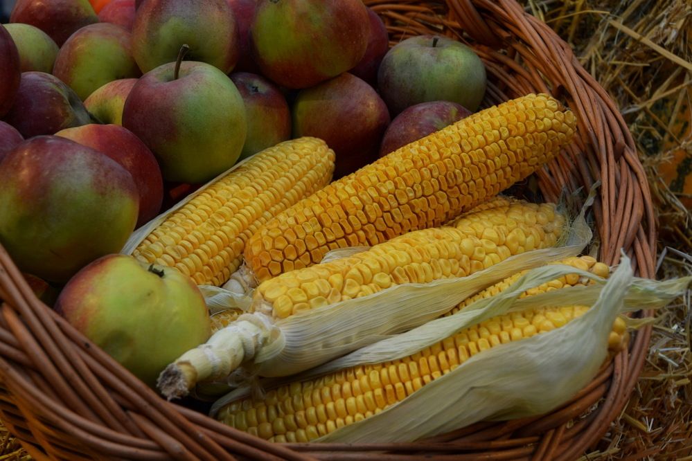 Photograph by Анастасия Смирнова