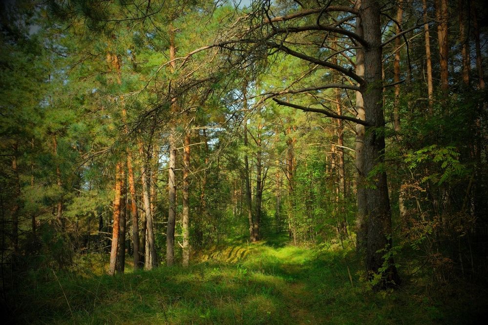 Photograph by Наталия Питолина
