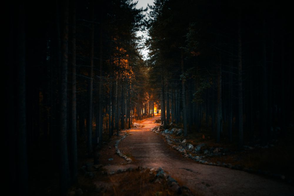 Photograph by Valentin Kolinko