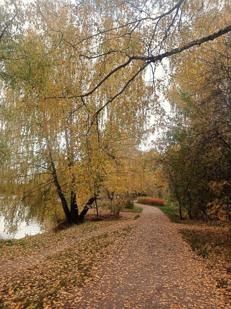 Photograph by Ирина Орлова