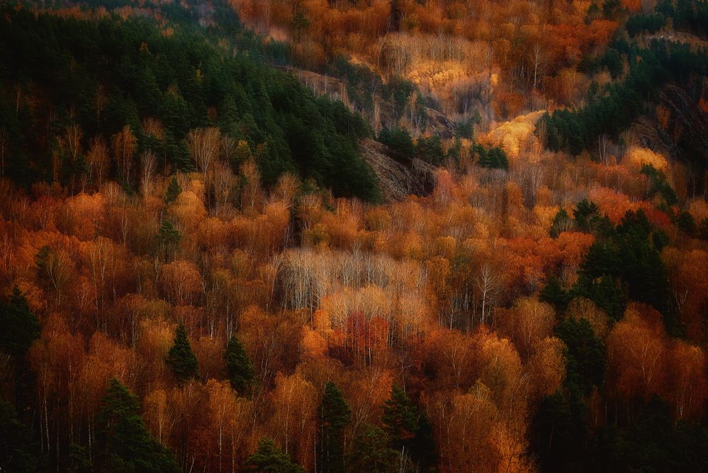 Photograph by Юлия Лушникова