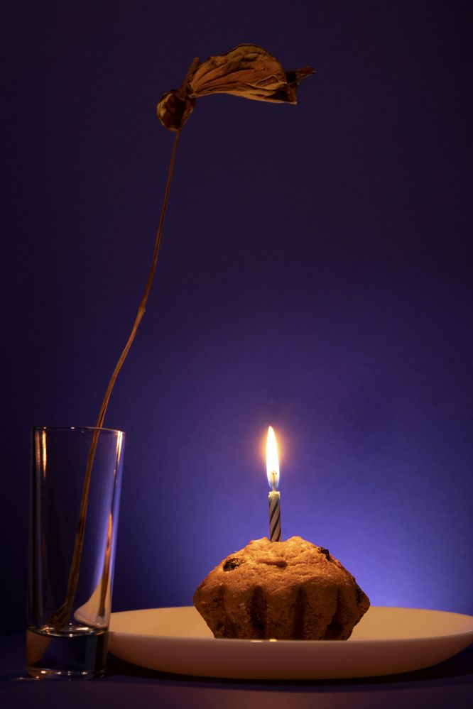 Фотография автора Екатерина Пачина