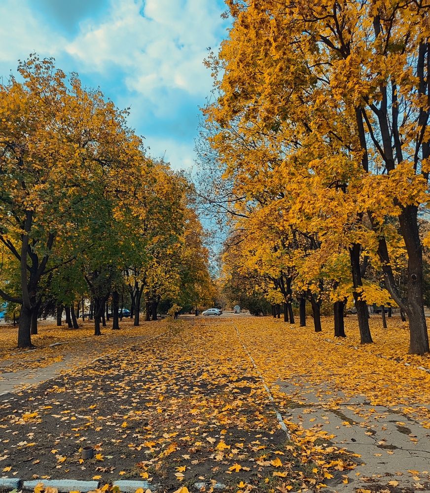Photograph by Анна Напримерова