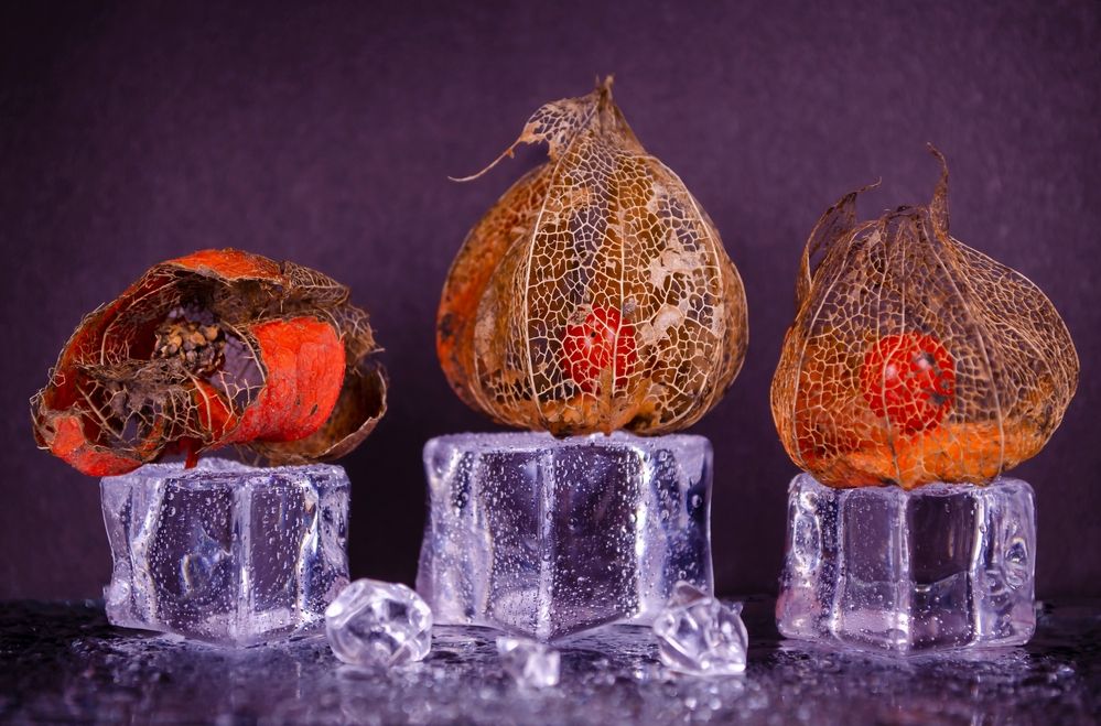 Photograph by Любовь Бусова