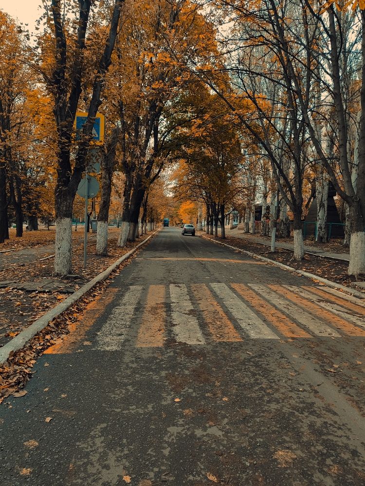 Photograph by Анна Напримерова