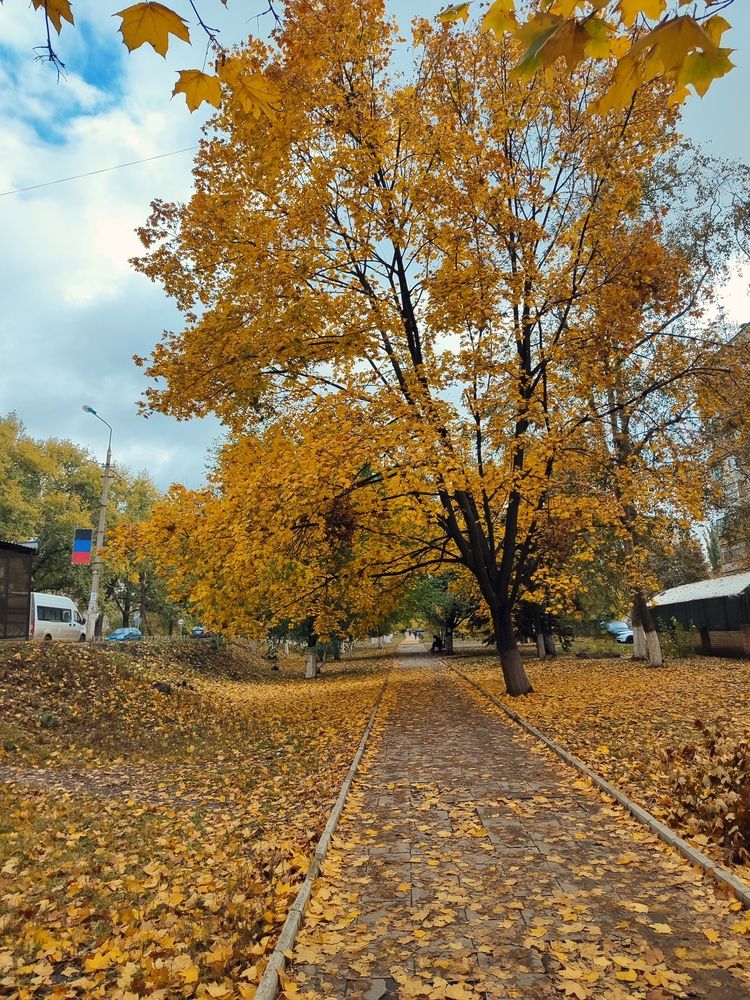 Photograph by Анна Напримерова