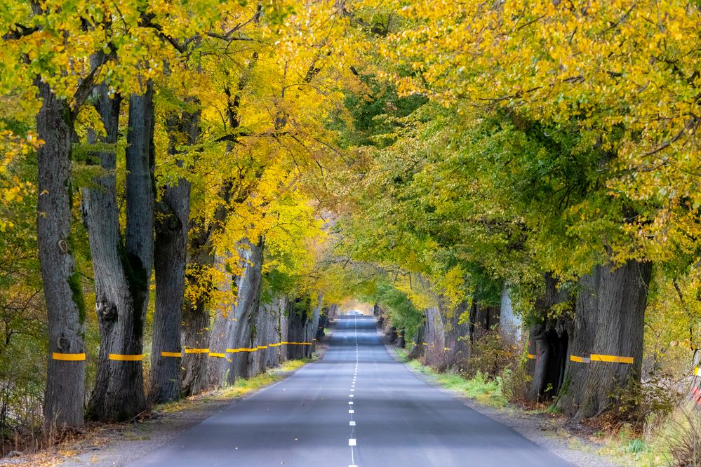 Photograph by Константин Чижов