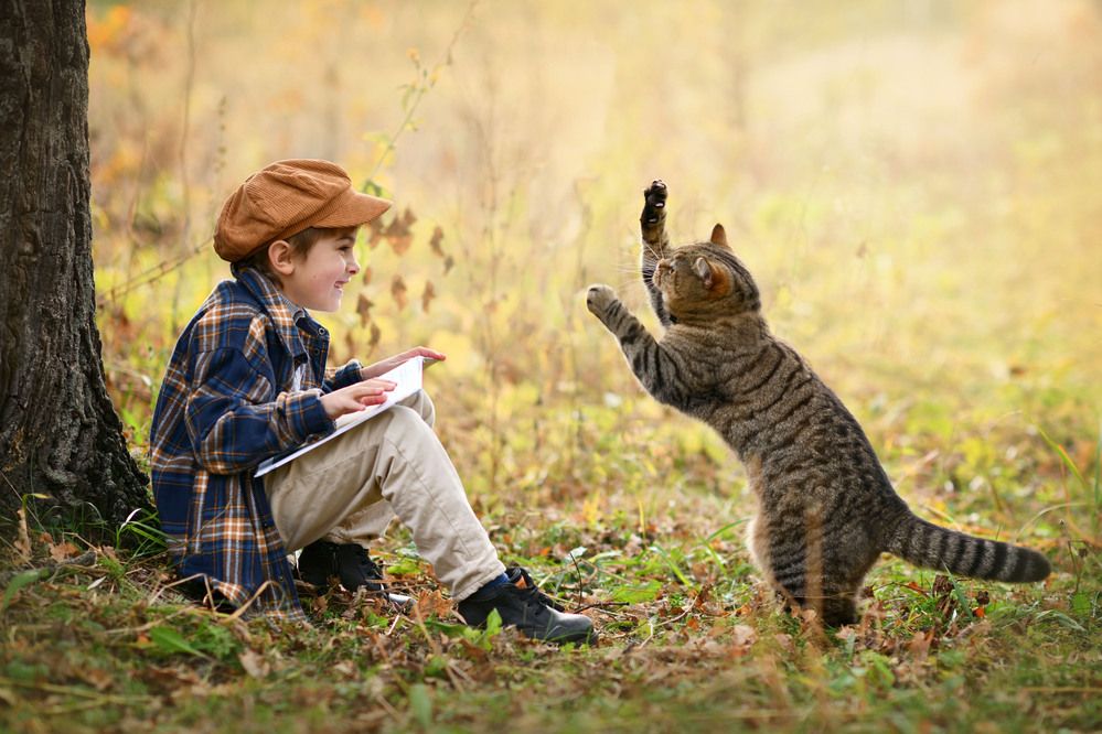 Photograph by Ирина Ефимова