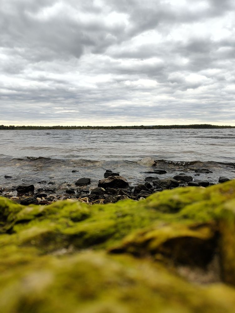 Photo #12697488