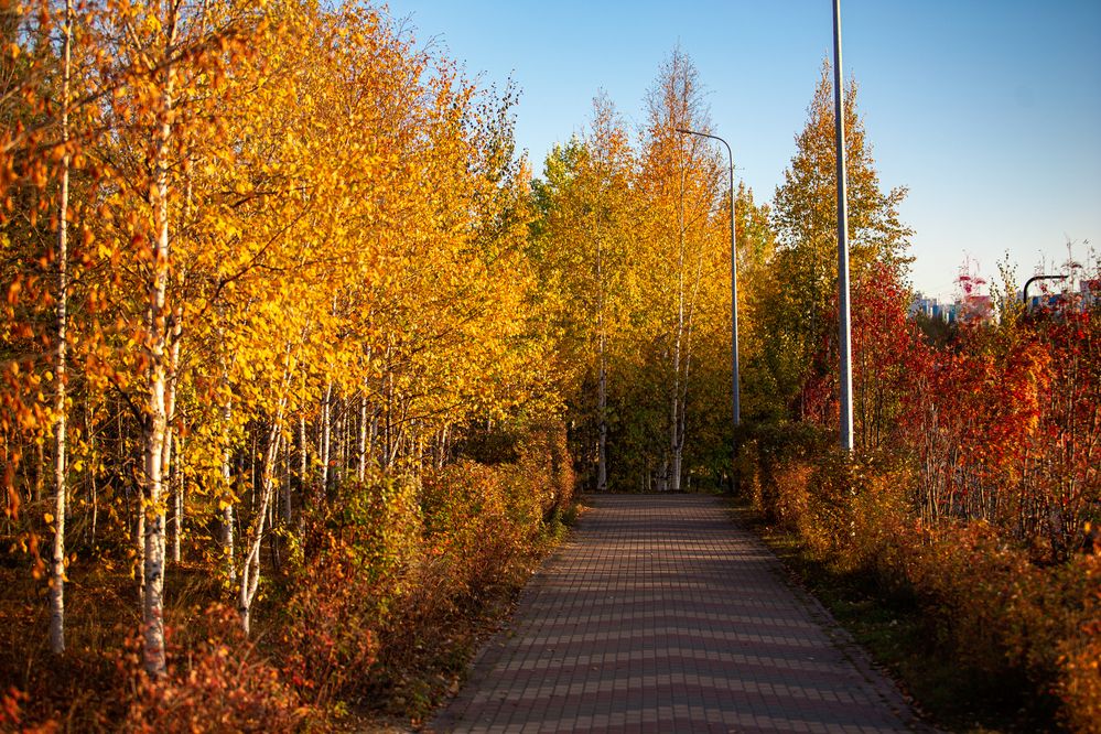 Photograph by Виталий Са