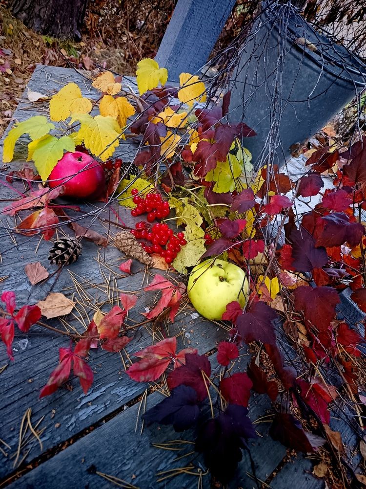 Photo #12697516
