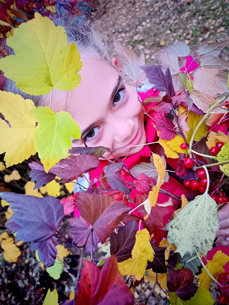 Photo #12697524