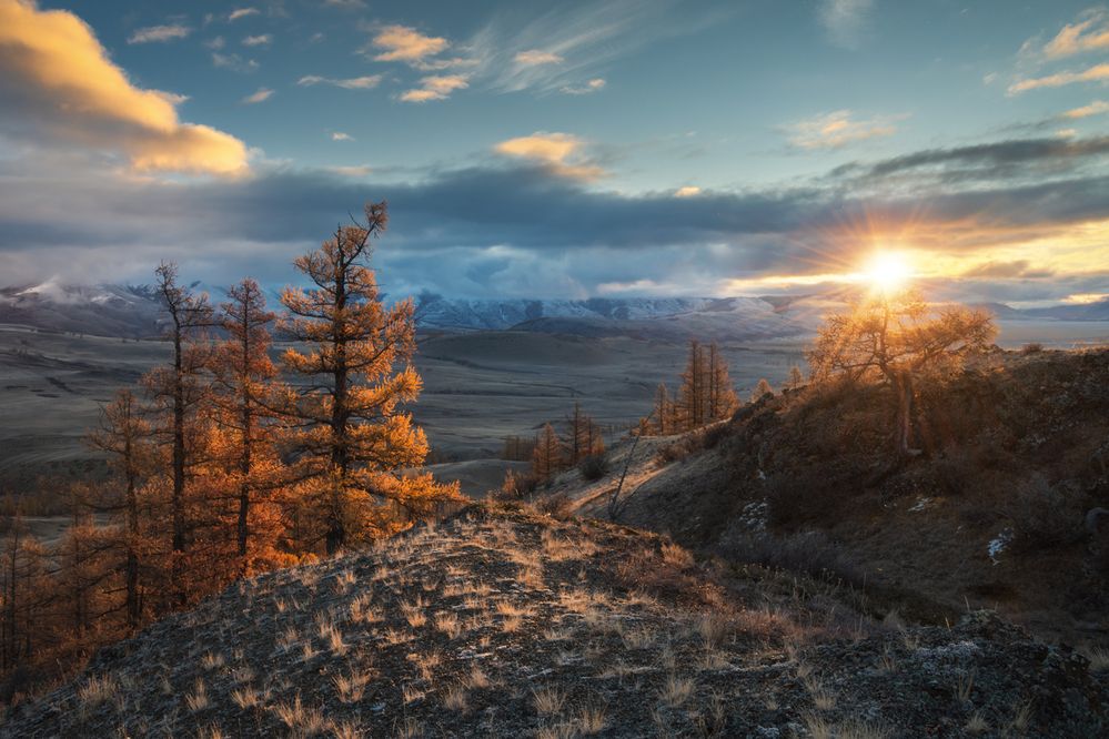 Photograph by Рубан Елена